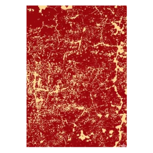 Joon Joni Rug